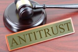 Esposto all’Antitrust: “No al monopolio del mare, la Sicilia deve tornare competitiva”