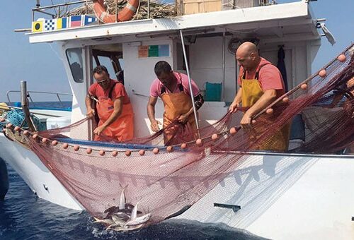 Rinnovato il contratto ai pescatori marittimi