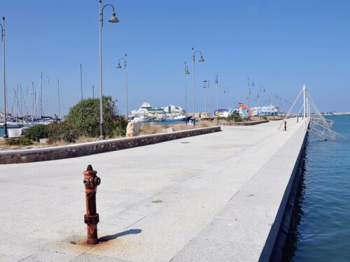La Regione Sardegna pubblicazione manifestazione di interesse per i traghetti con l’Asinara