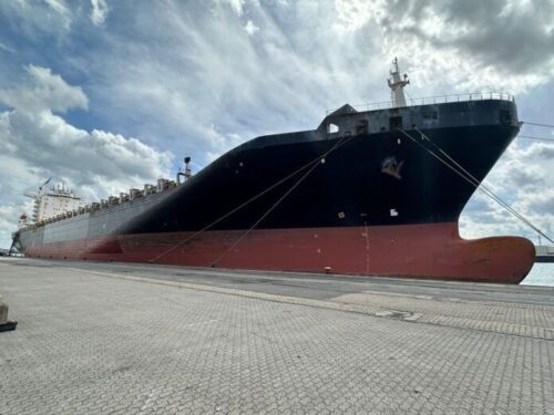 La portacontainer “Jolly Verde”, la più grande nave nella flotta Ignazio Messina & C. S.p.A.
