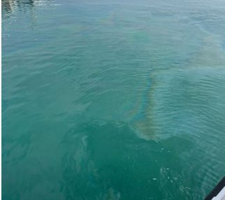 La Maddalena, 18mila litri di gasolio in banchina: assolti comandante e nostromo